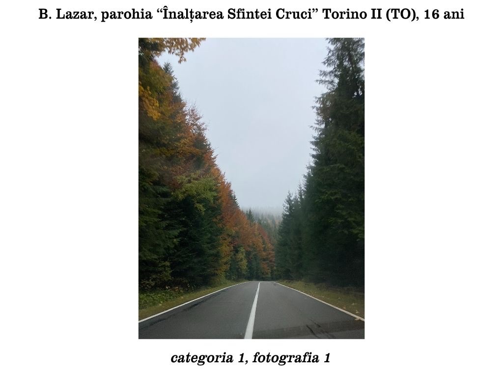 00 Căstigătpare cat.1 dimensioni grandi