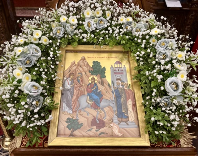 florii 2025 dimensioni medie