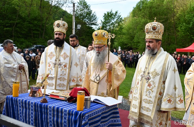 EDH 11 05 2025 Potingani 6 dimensioni medie